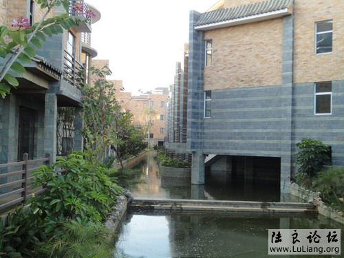 ½��ˮľ����