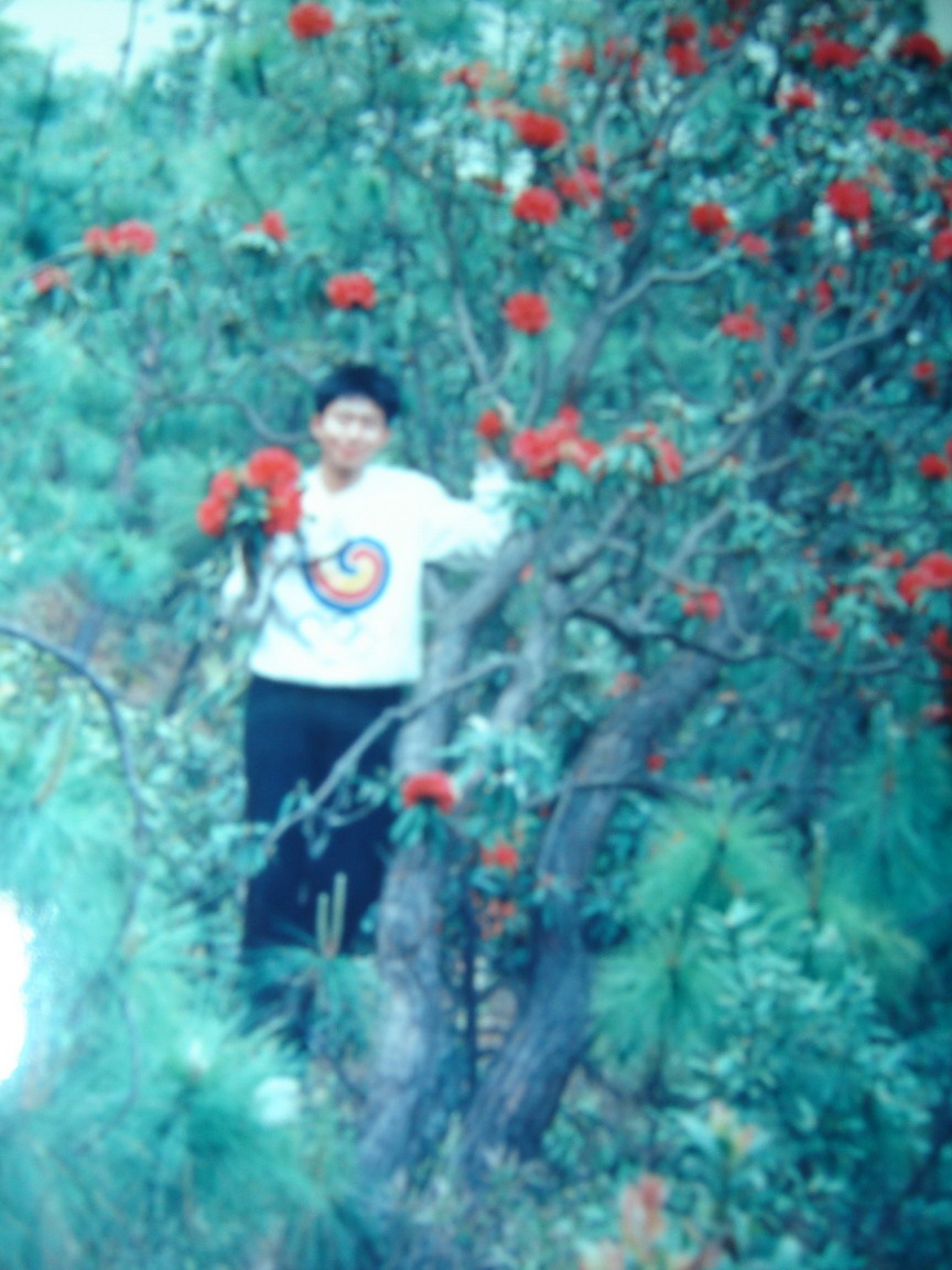 �����ž�ʢ��