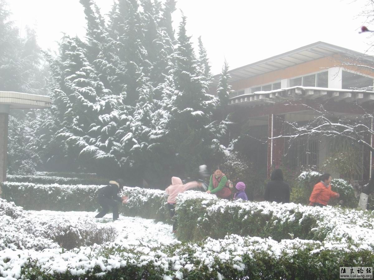 ������С DSCF20714 (7).JPG