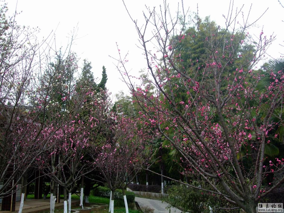 ������С DSCF2490.JPG